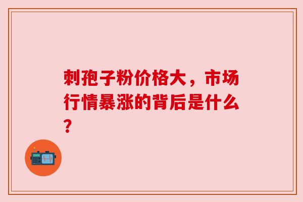 刺孢子粉价格大，市场行情暴涨的背后是什么？