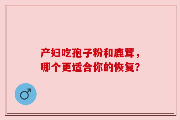 产妇吃孢子粉和鹿茸,哪个更适合你的恢复? 产妇吃孢子粉和鹿茸,哪个更适合你的恢复?