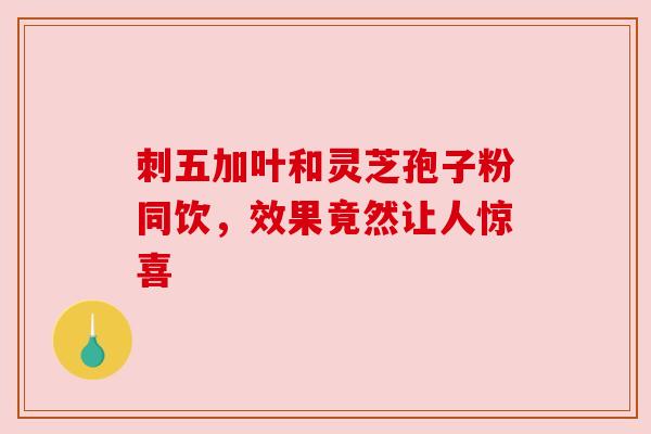 刺五加叶和灵芝孢子粉同饮,效果竟然让人惊喜 刺五加叶和灵芝孢子粉同饮,效果竟然让人惊喜