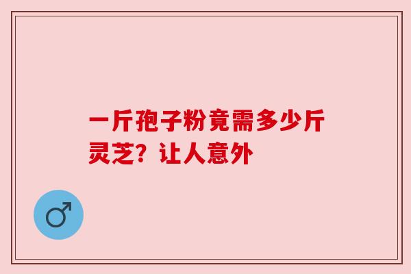 一斤孢子粉竟需多少斤灵芝?让人意外 一斤孢子粉竟需多少斤灵芝?让人意外