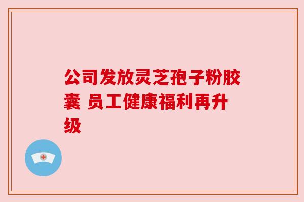 公司发放灵芝孢子粉胶囊 员工健康福利再升级