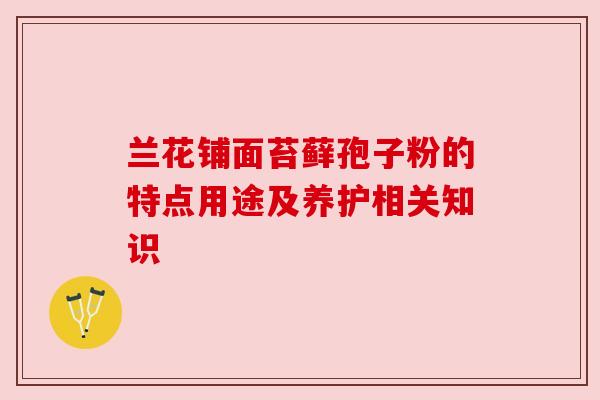 兰花铺面苔藓孢子粉的特点用途及养护相关知识 兰花铺面苔藓孢子粉的特点用途及养护相关知识