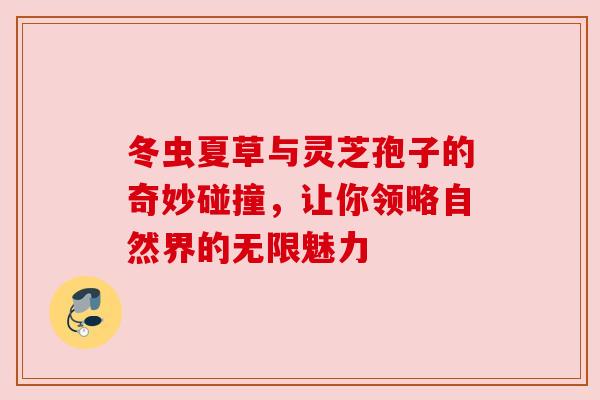 冬虫夏草与灵芝孢子的奇妙碰撞,让你领略自然界的无限魅力 冬虫夏草与灵芝孢子的奇妙碰撞,让你领略自然界的无限魅力