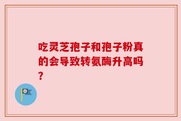 吃灵芝孢子和孢子粉真的会导致转氨酶升高吗? 吃灵芝孢子和孢子粉真的会导致转氨酶升高吗?