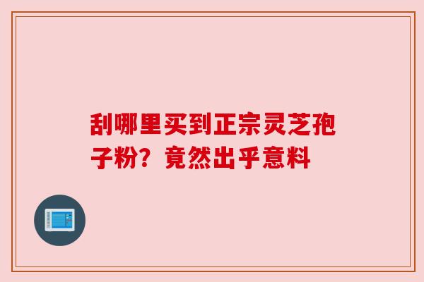 刮哪里买到正宗灵芝孢子粉?竟然出乎意料 刮哪里买到正宗灵芝孢子粉?竟然出乎意料