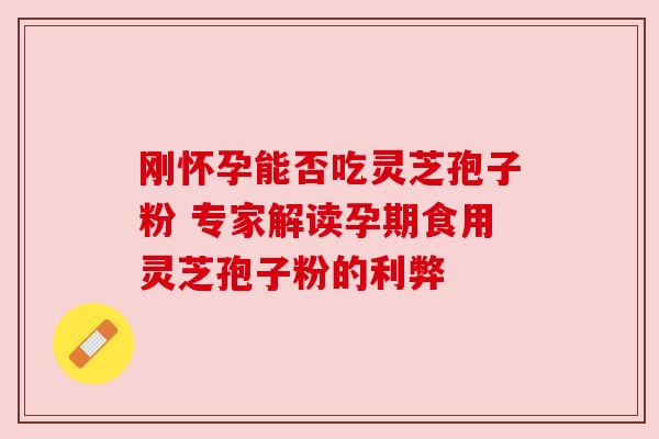 刚怀孕能否吃灵芝孢子粉 专家解读孕期食用灵芝孢子粉的利弊 刚怀孕能否吃灵芝孢子粉 专家解读孕期食用灵芝孢子粉的利弊