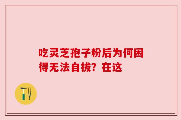 吃灵芝孢子粉后为何困得无法自拔?在这 吃灵芝孢子粉后为何困得无法自拔?在这