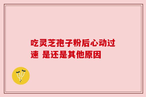 吃灵芝孢子粉后心动过速 是还是其他原因