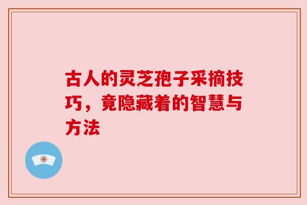 古人的灵芝孢子采摘技巧，竟隐藏着的智慧与方法