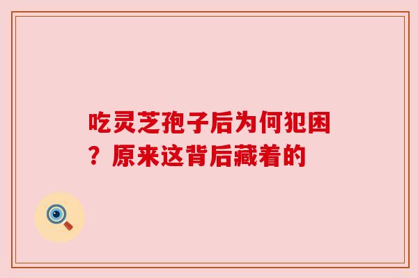 吃灵芝孢子后为何犯困?原来这背后藏着的 吃灵芝孢子后为何犯困?原来这背后藏着的