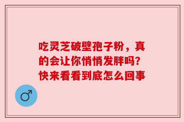 吃灵芝破壁孢子粉,真的会让你悄悄发胖吗?快来看看到底怎么回事 吃灵芝破壁孢子粉,真的会让你悄悄发胖吗?快来看看到底怎么回事