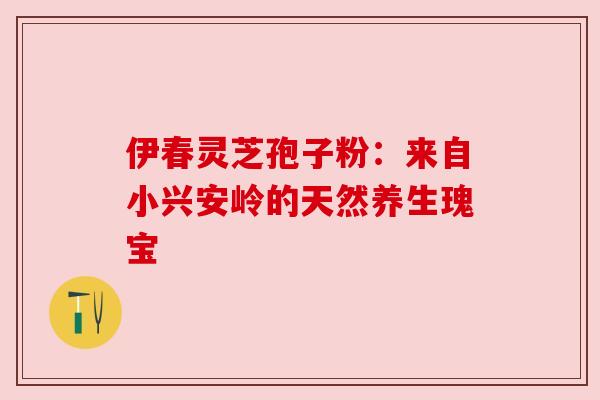 伊春灵芝孢子粉:来自小兴安岭的天然养生瑰宝 伊春灵芝孢子粉:来自小兴安岭的天然养生瑰宝