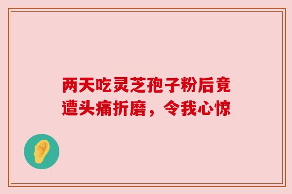 两天吃灵芝孢子粉后竟遭头痛折磨，令我心惊