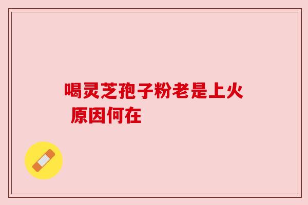 喝灵芝孢子粉老是上火 原因何在 喝灵芝孢子粉老是上火 原因何在