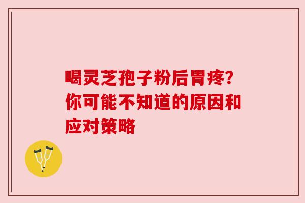 喝灵芝孢子粉后胃疼?你可能不知道的原因和应对策略 喝灵芝孢子粉后胃疼?你可能不知道的原因和应对策略