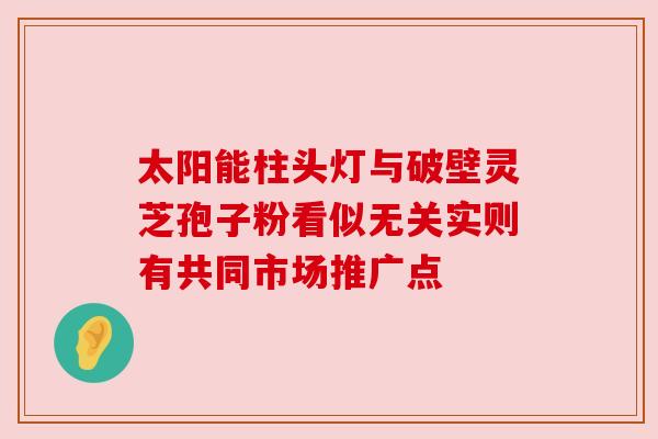 太阳能柱头灯与破壁灵芝孢子粉看似无关实则有共同市场推广点