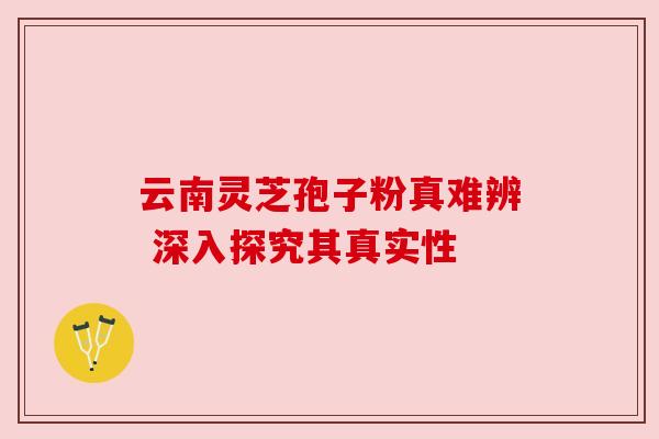 云南灵芝孢子粉真难辨 深入探究其真实性