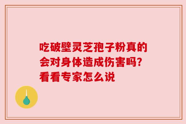 吃破壁灵芝孢子粉真的会对身体造成伤害吗？看看专家怎么说
