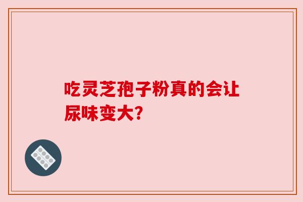 吃灵芝孢子粉真的会让尿味变大？