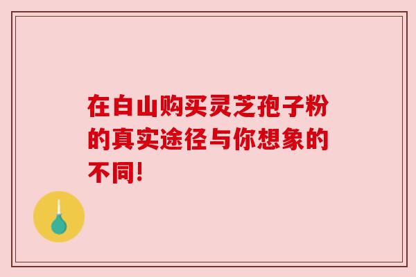 在白山购买灵芝孢子粉的真实途径与你想象的不同!