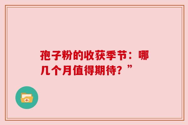 孢子粉的收获季节：哪几个月值得期待？”