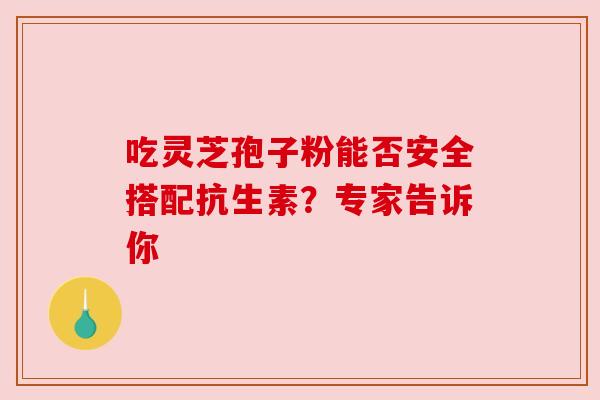 吃灵芝孢子粉能否安全搭配抗生素？专家告诉你