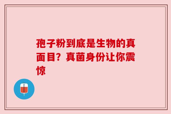孢子粉到底是生物的真面目?真菌身份让你震惊 孢子粉到底是生物的真面目?真菌身份让你震惊