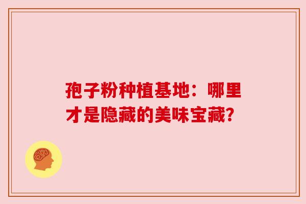 孢子粉种植基地：哪里才是隐藏的美味宝藏？