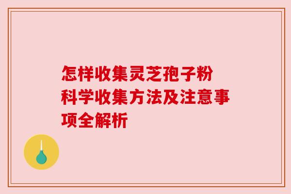 怎样收集灵芝孢子粉 科学收集方法及注意事项全解析