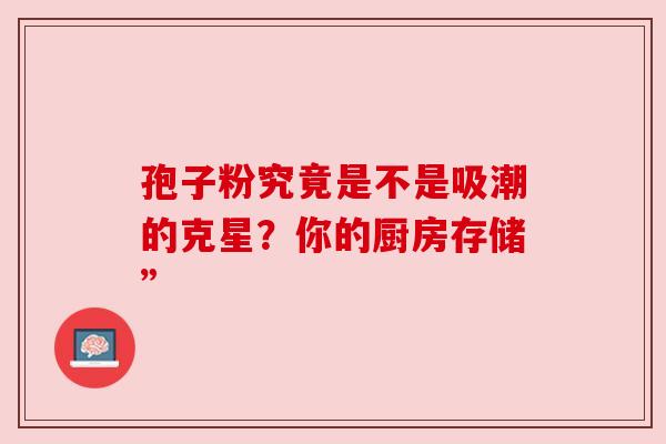 孢子粉究竟是不是吸潮的克星？你的厨房存储”