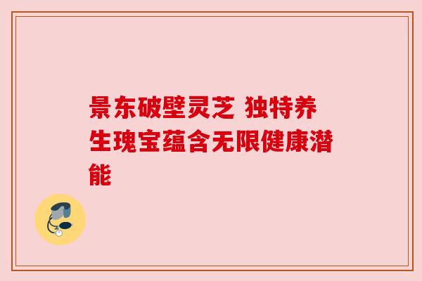 景东破壁灵芝 独特养生瑰宝蕴含无限健康潜能