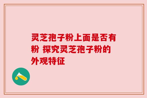 灵芝孢子粉上面是否有粉 探究灵芝孢子粉的外观特征