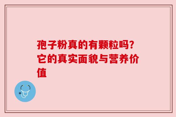 孢子粉真的有颗粒吗？它的真实面貌与营养价值