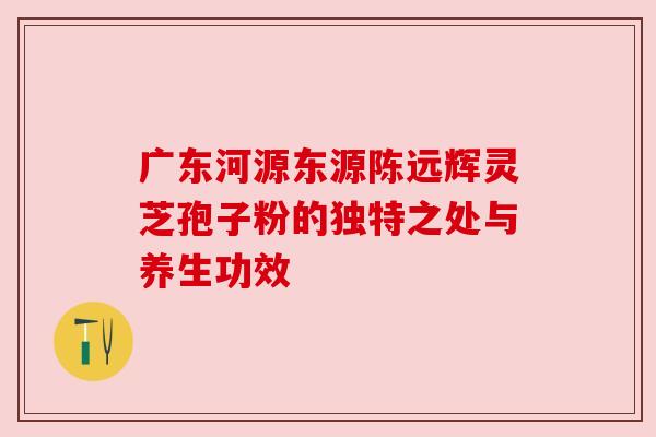 广东河源东源陈远辉灵芝孢子粉的独特之处与养生功效
