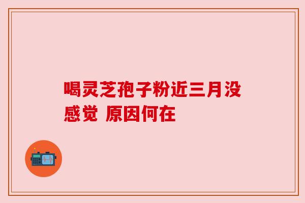 喝灵芝孢子粉近三月没感觉 原因何在