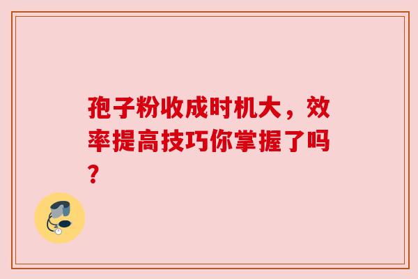 孢子粉收成时机大，效率提高技巧你掌握了吗？